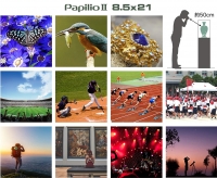 binokl-pentax-up-6-5x21-papilio-ii-62001-fotofox.com.ua-7.jpg