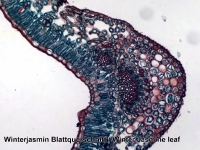 nabir-mikropreparativ-bresser-100-sht-5986003-11569-fotofox.com.ua-4.jpg