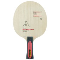osnova-dlya-raketki-joola-tezzo-guardian-fl-61204-fotofox.com.ua-1.jpg