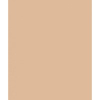 fon-savage-widetone-beige-2-72m-x-11m-fotofox.com.ua