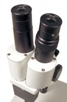 mikroskop-levenhuk-2st-binokulyarnyj-fotofox.com.ua-5