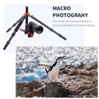 shtativ-foto-video-t255a3-bh-28l-max-10kg-h-170cm-1-5
